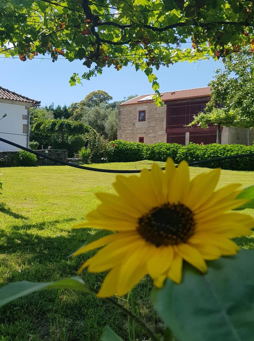 Casas Da Quinta Da Cancela Balugaes Bagian luar foto